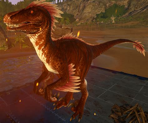 Ark alpha raptor - When harvested, Alpha Raptors drop Raw Prime Meat, Hide, and Alpha Raptor Claws. Perhaps unsurprisingly, the Alpha Raptor is pretty tanky with a base health pool of …